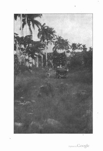 1909 Packard - El Toro-043.jpg